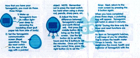 Virtual Pet Instructions