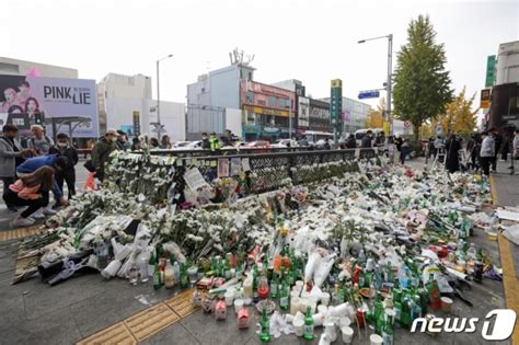 이태원 참사 국가·서울시·용산구에 손해배상 청구 가능할까 네이트 뉴스