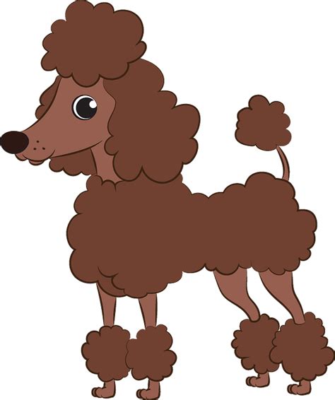 Poodle clipart. Free download transparent .PNG | Creazilla