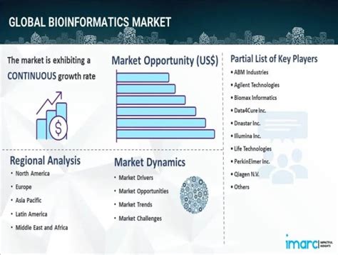 Bioinformatics Market Size Trends Growth Companies Segments And