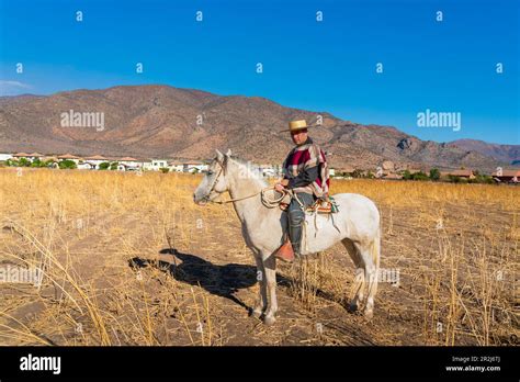 Traditionally dressed huaso riding horse on field, Colina, Chacabuco ...