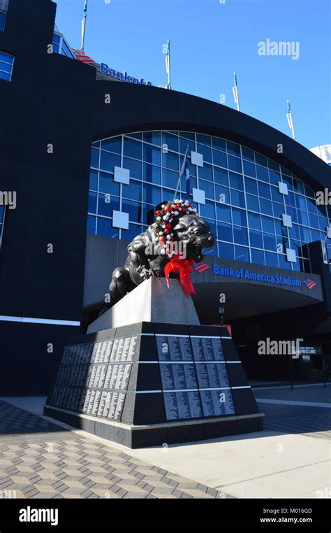 Carolina Panthers Hi Res Stock Photography And Images Alamy