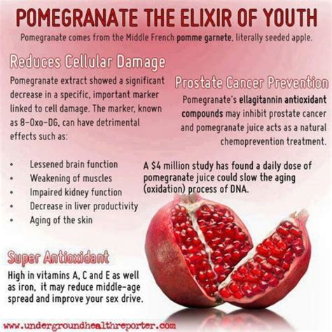 Benefits Of Pomegranate Back To Nature Home Remedies Holistic Medic…