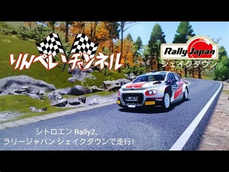 Wrc Rally Youtube