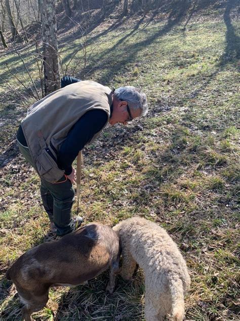 Giuliano Tartufi Le 24 Février 2021 Gpa Grossiste De Produits Italiens