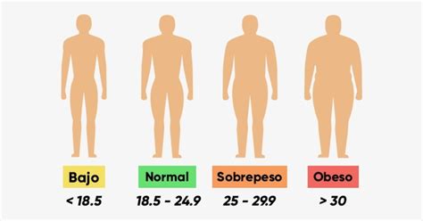 Calculadora Imc Qué Es Fórmula Y Tabla De Resultados Tua Saúde