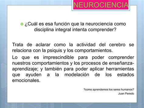 Neurociencia Ppt