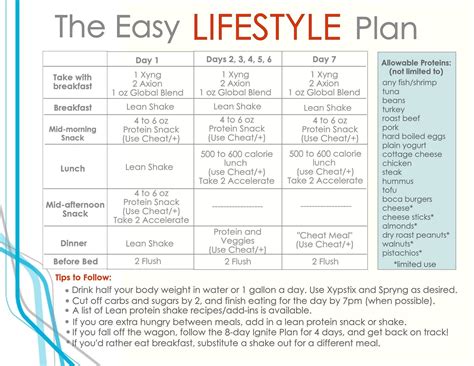 Easy Lifestyle Plan - Maintenance | How to plan, How to increase energy