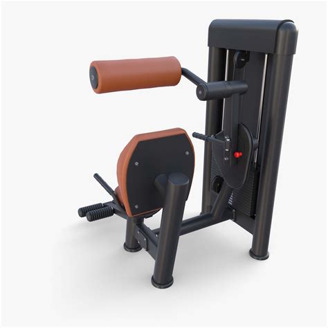 gym machine lower back 2