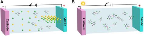 Frontiers A Review Of Electrochemical Oxidation Technology For