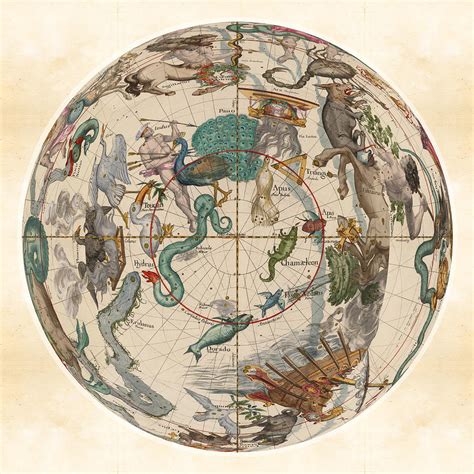 Celestial Map Constellations Hydra Apus Centaurus Indus