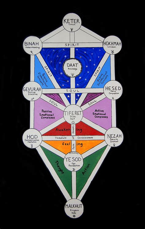 Tree of Life Diagrams - Megan Wagner