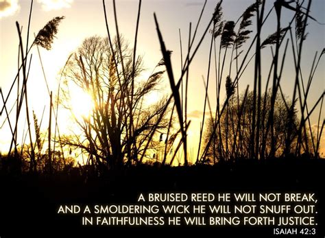 A Bruised Reed He Will Not Break - Lifespring Church