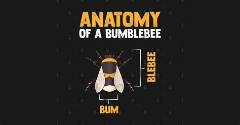 Anatomy Of A Bumblebee Funny Quote Anatomy Of A Bumblebee Funny Quote T Shirt Teepublic