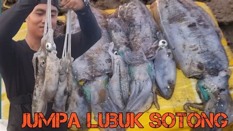 Hasil Tangkapan Bila Jumpa Lubuk Sotong Puas Hati Youtube