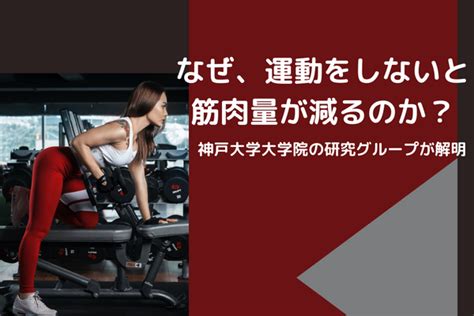 なぜ、運動をしないと筋肉量が減るのか？――神戸大学大学院の研究グループがメカニズムを解明 La Caprese