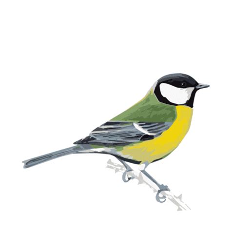 Tits Big Stickers Find Share On GIPHY