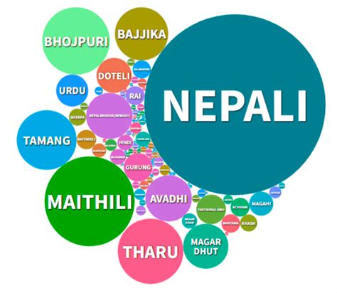 Decoding diversity | Nepali Times