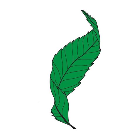 Premium Vector | Green leaf vector