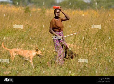 A Zambian woman and her dog going fishing in a rural Zambian village ...