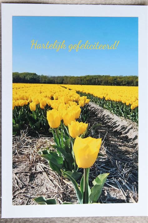 Wenskaart Gefeliciteerd Tulpen Hosanna Madagaskar