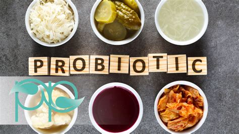Best Probiotic Foods For Leaky Gut at Helen Mcewen blog
