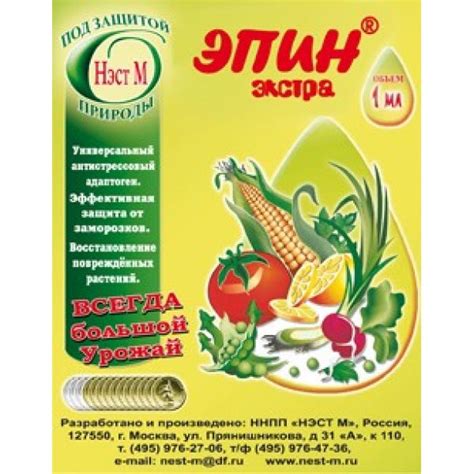 Томат «махитос f1»: фото, описание сорта и характеристика, видео