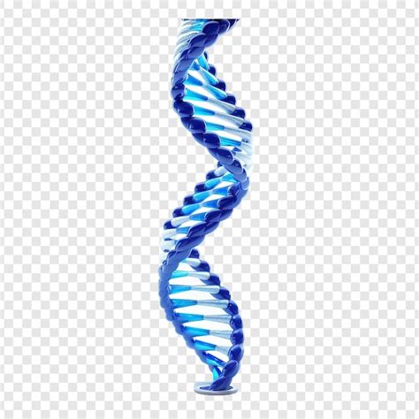 D Blue Dna Helix Sequence Element Isolated On Transparent Background