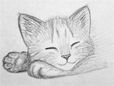 Realistic Drawings Of Kittens