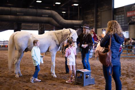 Scottsdale Arabian Horse Show