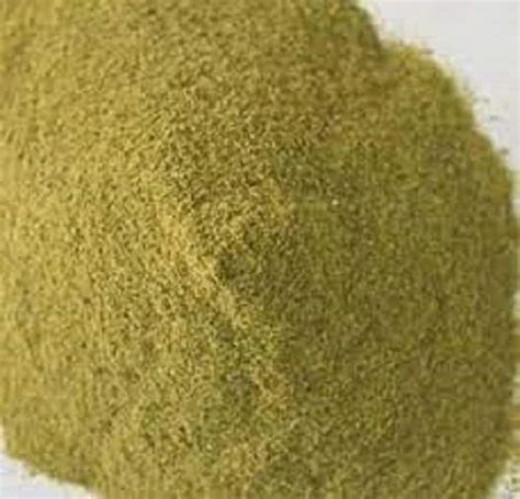 Green Capsicum Powder Packaging Type PP BAG Packaging Size 1kg At