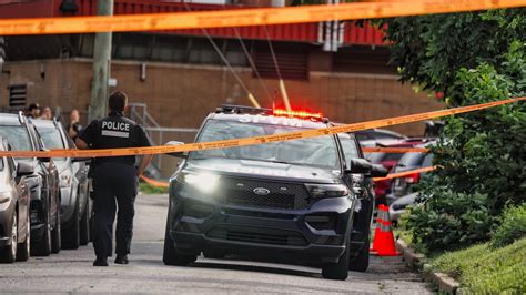 Un Homme Blessé Par Balle Après Une Altercation à Montréal Tva Nouvelles