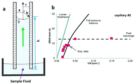 Capillary Driven Flow Dynamics A Schematic Of Capillary Driven Flow