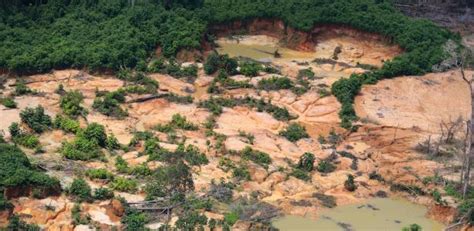 Como O Pcc Dominou Reas De Garimpo Na Terra Ind Gena Yanomami Em