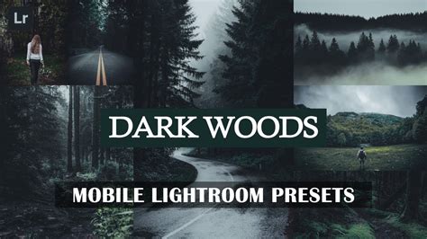 Dark Woods Lightroom Mobile Presets Free Dng Lightroom Presets