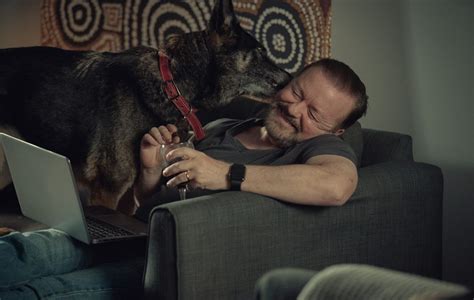 After Life Season 3 Review Ricky Gervais Humanist Hit Goes Out On A