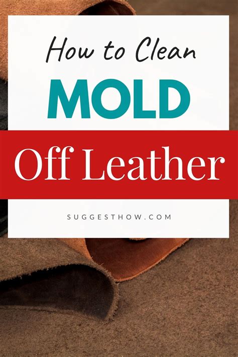 How To Clean Mold From Leather Jacket