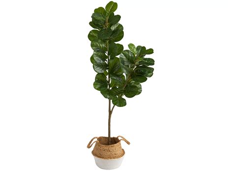 Fiddle Leaf Fig Artificial Tree In Woven Planter Raymour