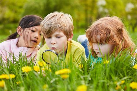 Activit S Estivales Faire Avec Les Enfants Dans Notre Nature