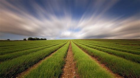 Farmland Wallpapers Top Free Farmland Backgrounds Wallpaperaccess