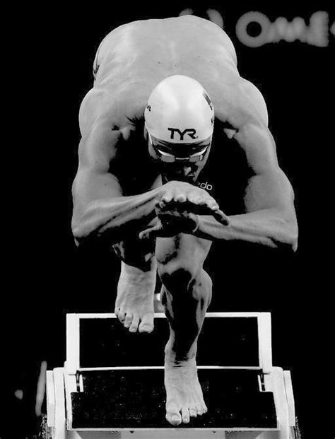 Black Swan • Fotografía De Natación Nadadores Olímpicos Fotografia Deportiva