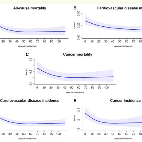 Crude Risk And Sex And Age Adjusted Incidence Rate Ratio By Vigorous