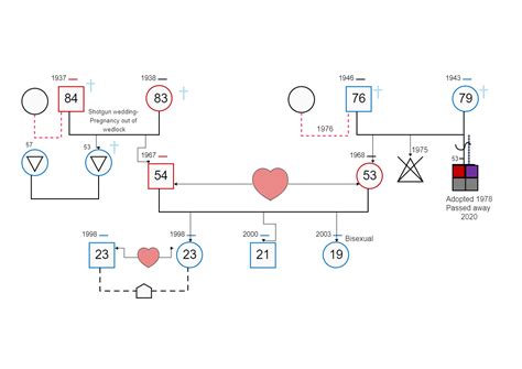 Sexual Genogram For University Edrawmax Template