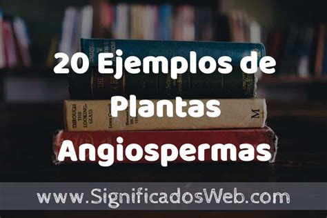 20 Ejemplos de Plantas Angiospermas Tipos Definición y Análisis