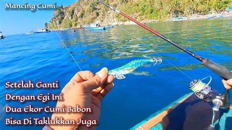 Akhirnya Egi Ini Di Sambar Cumi Babon Sesuai Harapan Mancing Cumi Di