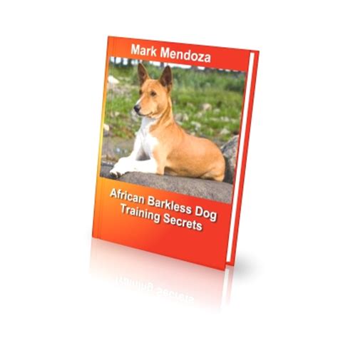 African Barkless Dog Training Secrets - How To Train an African ...