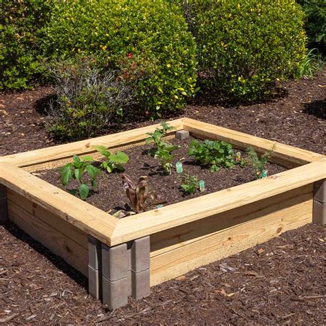 6 Inexpensive Raised Garden Bed Ideas - Driven by Decor