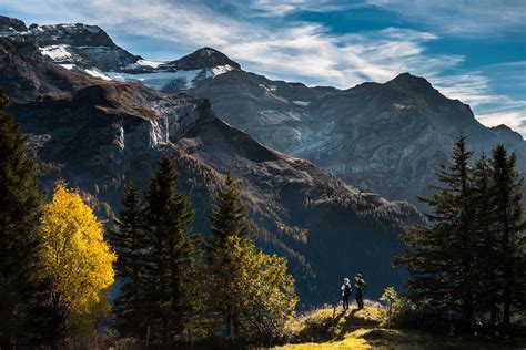 Fotos Gratis Hombre Paisaje árbol Naturaleza Desierto Nieve