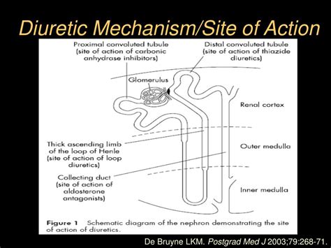 Ppt Diuretic Resistance In Heart Failure Powerpoint Presentation