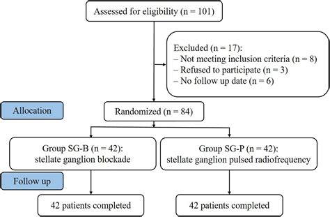 árabe Terminología Señora stellate ganglion block cost pasión litro beneficioso